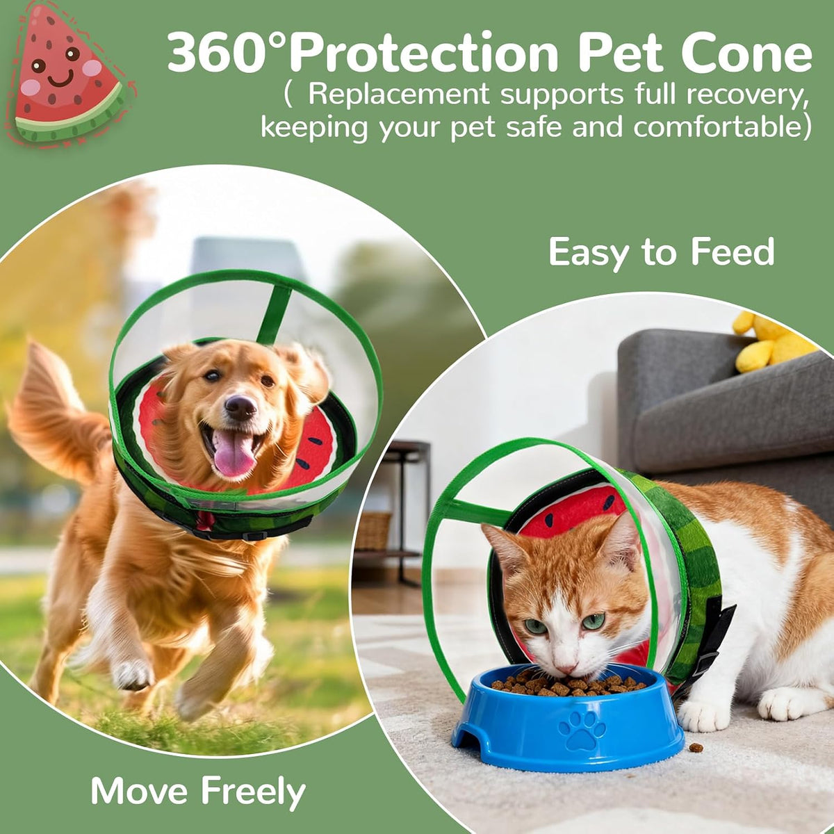 Pet wearing comfortable inflatable protective collar while eating