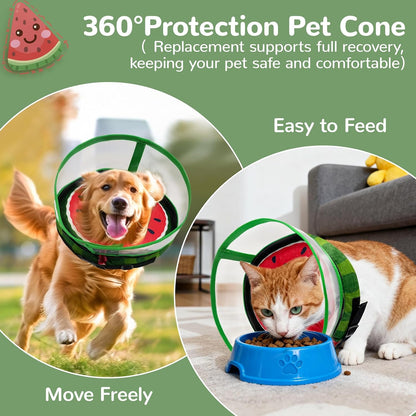 Pet wearing comfortable inflatable protective collar while eating