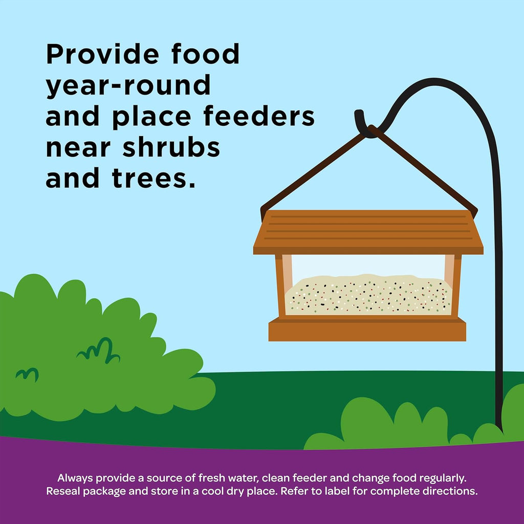 Backyard bird feeding station filled with premium seed blend