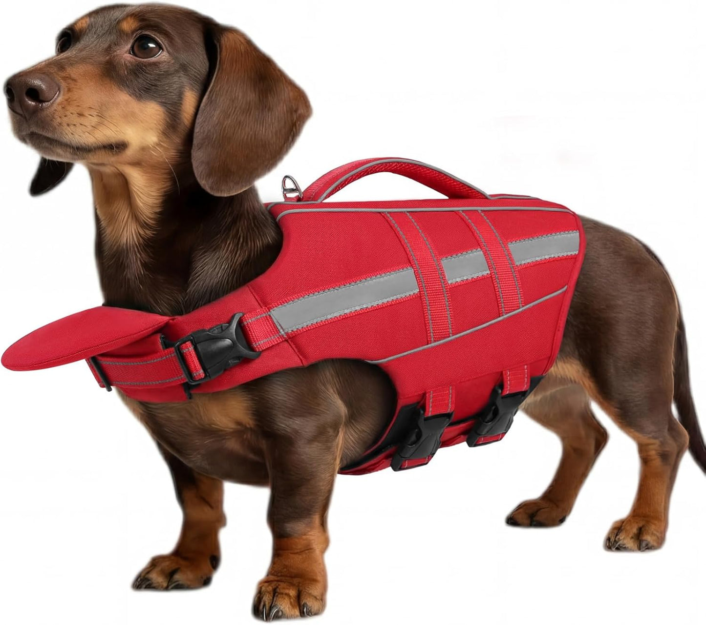 ASENKU Dog Life Jacket, High-Buoyancy Life Vest with Removable Front Float, Rescue Handle and Reflective Strips, Adjustable Swim Vest for Boating, Swimming, Beach(Green S) - Image 11