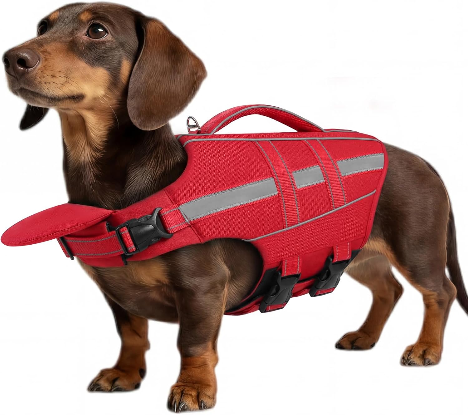 ASENKU Dog Life Jacket, High-Buoyancy Life Vest with Removable Front Float, Rescue Handle and Reflective Strips, Adjustable Swim Vest for Boating, Swimming, Beach(Green S) - Image 11