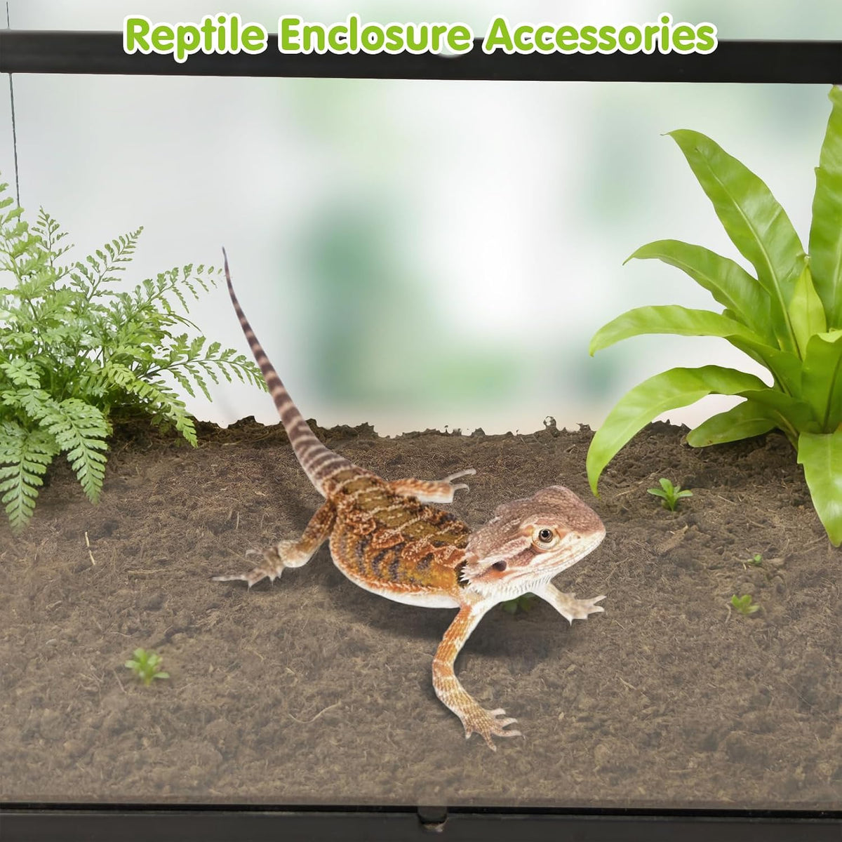 BNOSDM premium imported reptile soil setup for humidity control