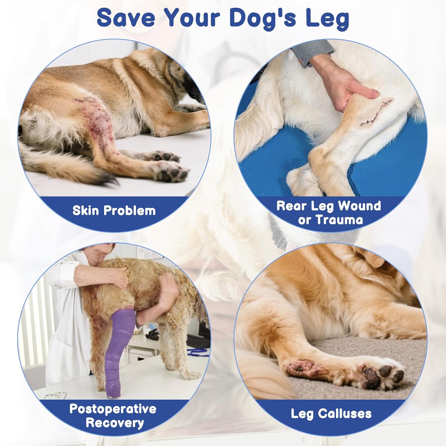 Alternative to dog cone collar single sleeve wound cover in action.