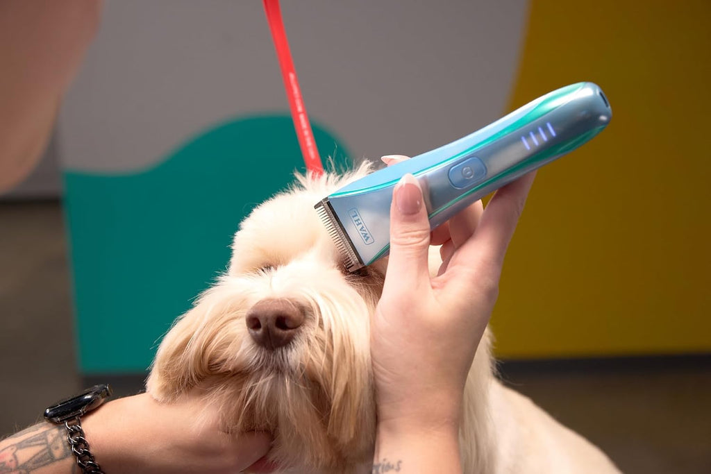Wahl Pro Animal Motiva2 clipper set demonstrating the USB C charging port setup