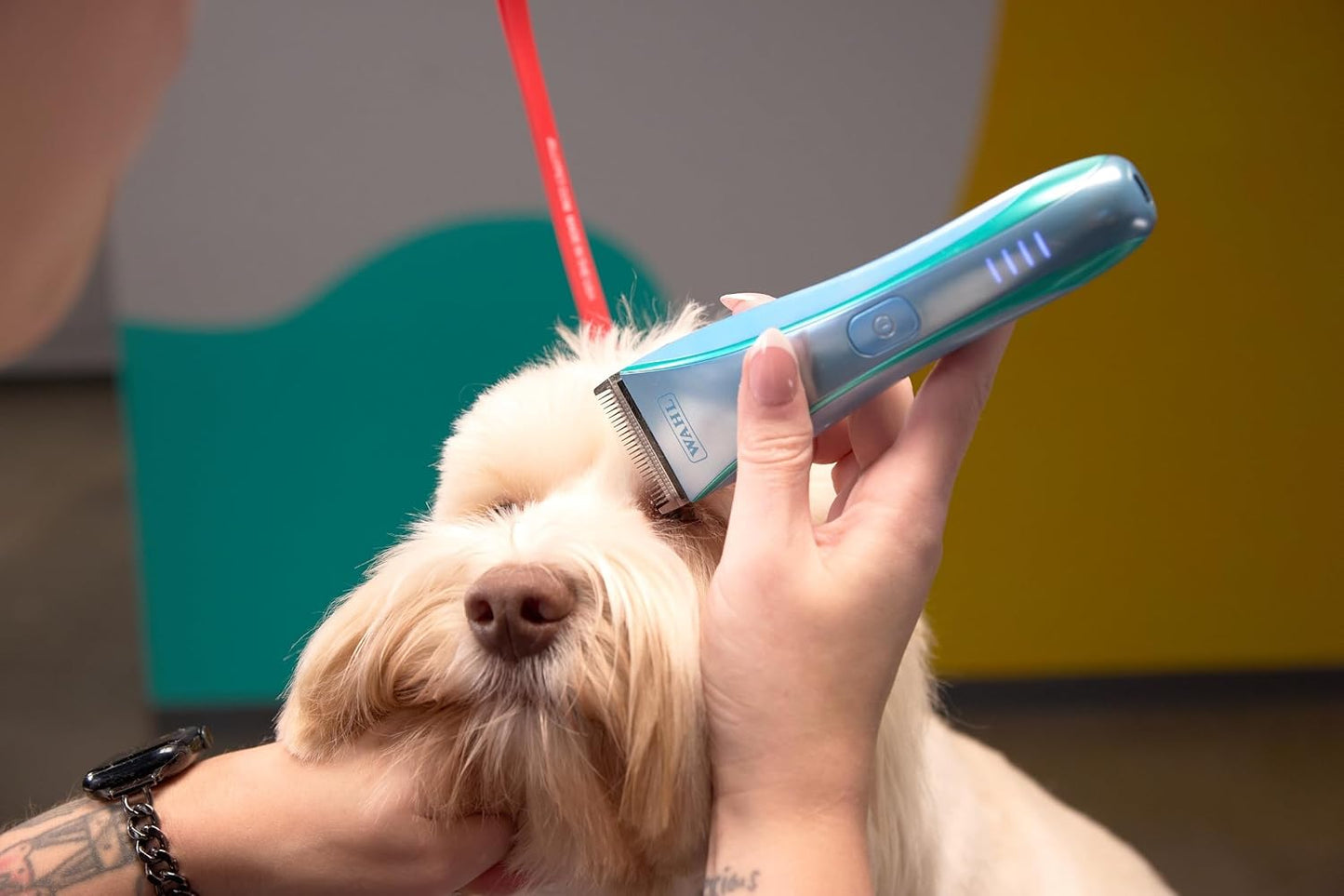 Wahl Pro Animal Motiva2 clipper set demonstrating the USB C charging port setup