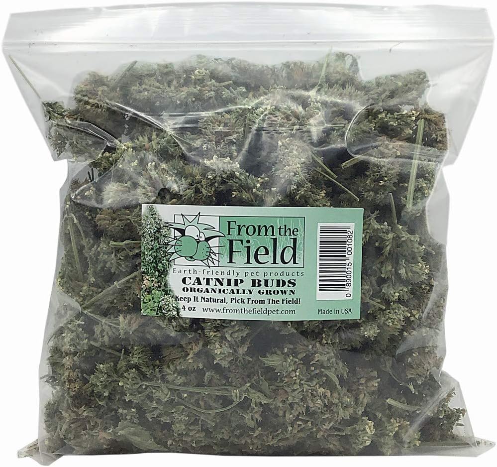 Top angle view of the opened catnip tub displaying stalkless whole organic buds.