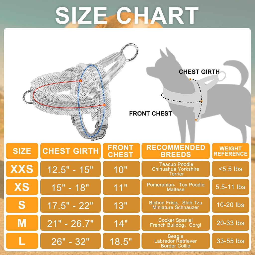 Premium quality step in dog belt showing secure metal ring attachment