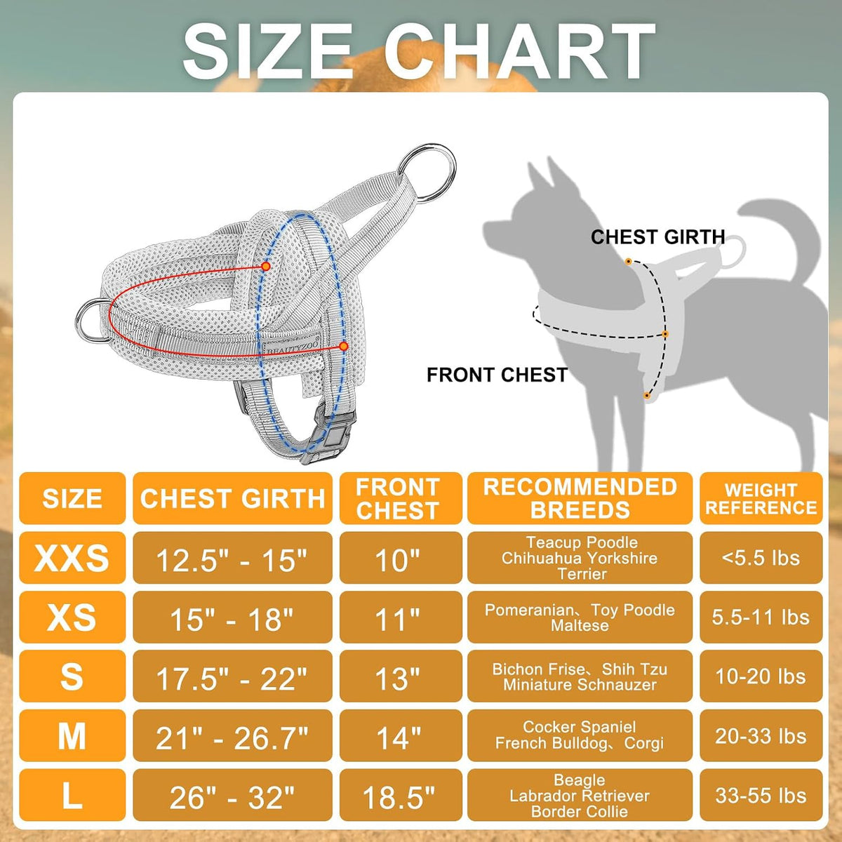 Premium quality step in dog belt showing secure metal ring attachment