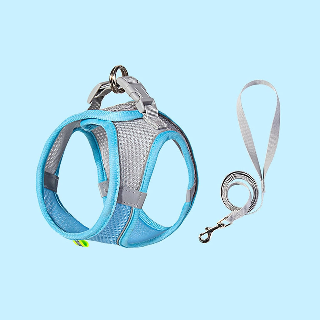 Rishav Pet Care small dog harness and leash set front view