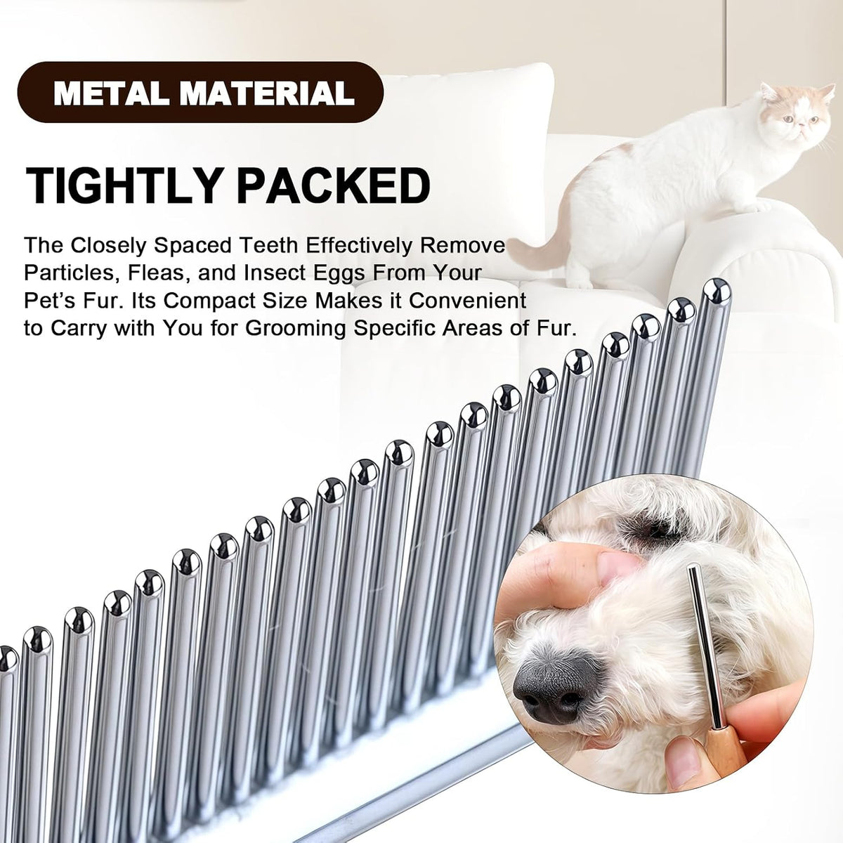 Small dog eye care grooming demonstration