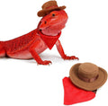 Molain bearded dragon cowboy costume front view reptile clothing accessory