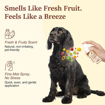 Before and after grooming results on a doodle dog using Oivolii detangling spray.