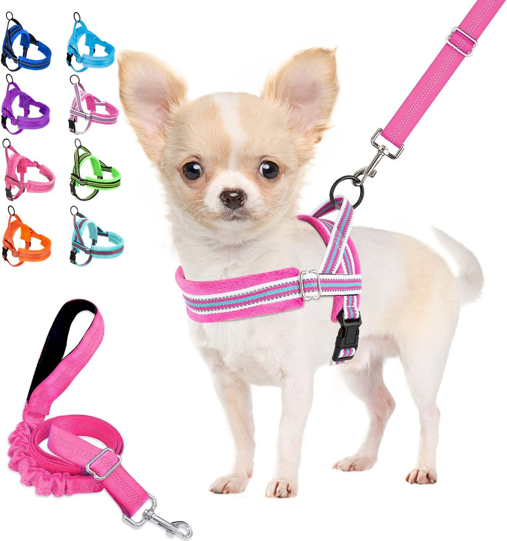 Lukovee No Pull Dog Harness and Leash Set, Soft Padded Small Dog Harness, Neck & Chest Adjustable Reflective Vest Puppy Harness with 4ft Lightweight Anti-Twist Dog Leash for Small Dogs (XS, Blue) - Image 15