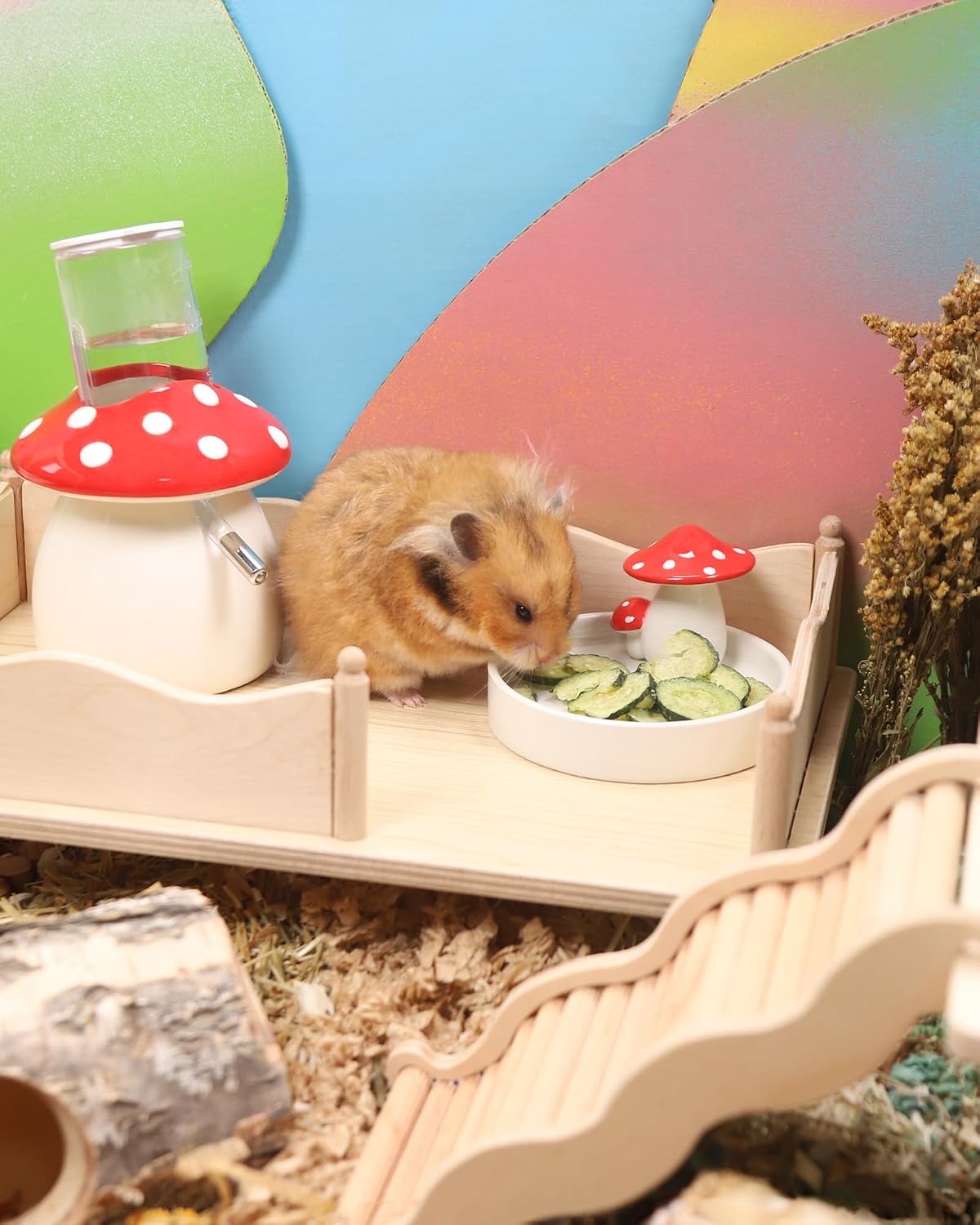 Niteangel freeze dried cucumber snacks scattered inside a clean hamster habitat setup