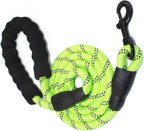 Alluring reflective dog leash close up highlighting the metal clasp hook.