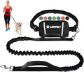 LANNEY hands free dog leash front view showing waist belt and zipper pouch