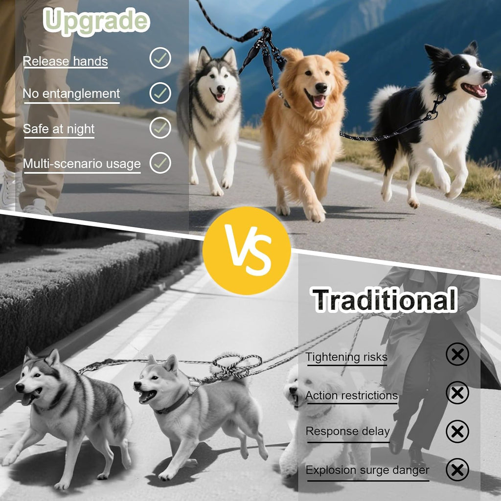 The multi dog traction system laid out flat showing the main lead rope measuring two point seven two feet and splitters.