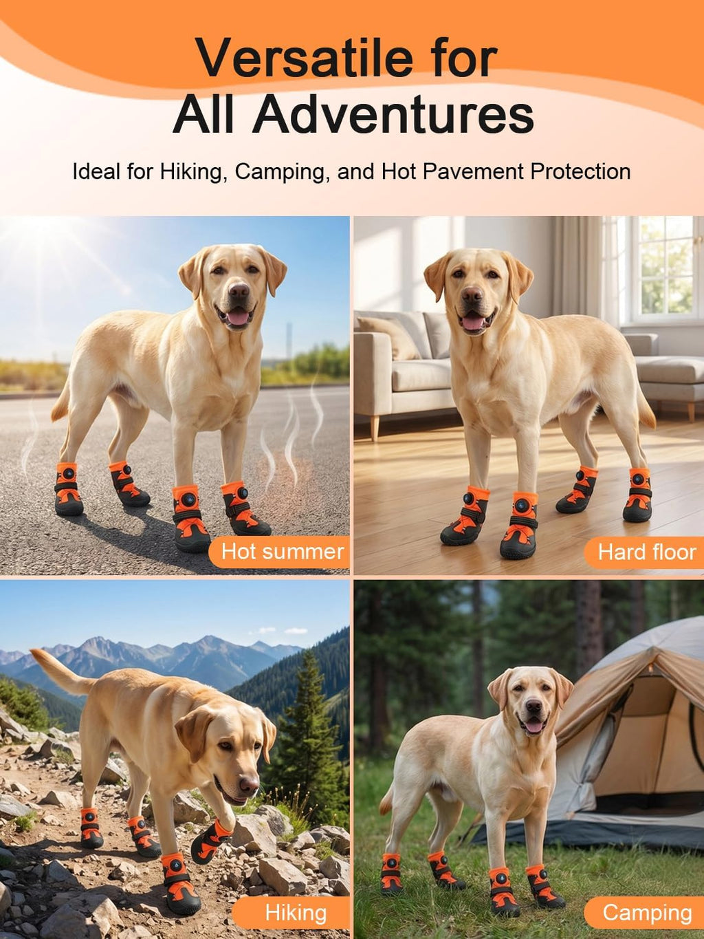 Dog wearing Becrowm boots on outdoor hiking trail