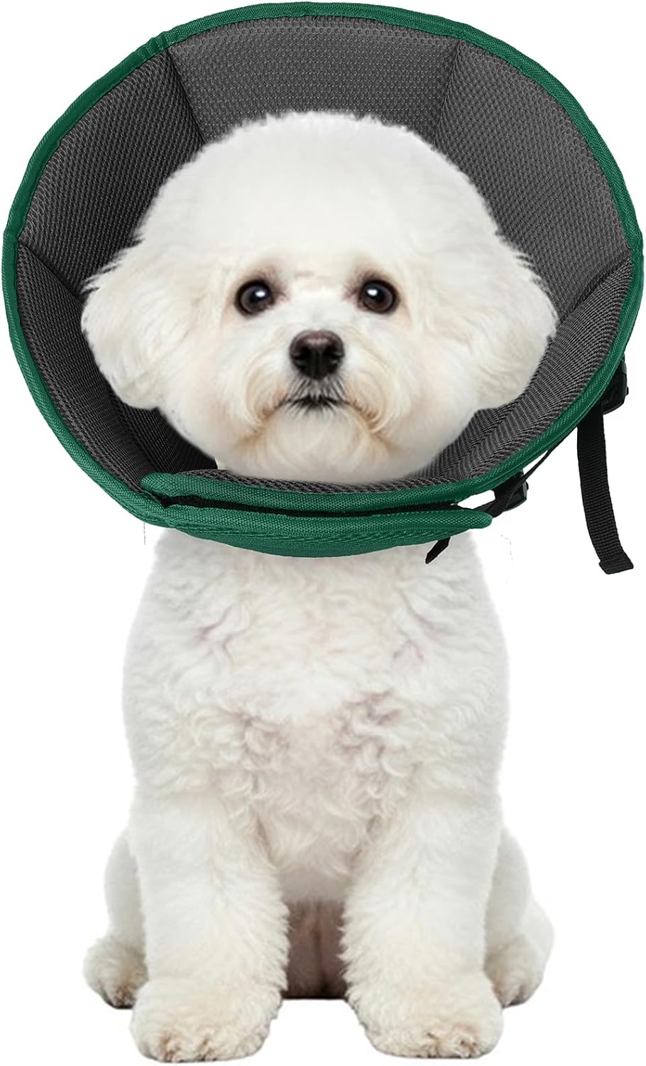 Dog Cone Collar After Surgery, Adjustable Soft Recovery Cone for Small Dogs to Stop Licking, Light-Weight Comfortable Elizabethan Collar for Dogs Anti-Bite Lick Protective Wound - Image 14