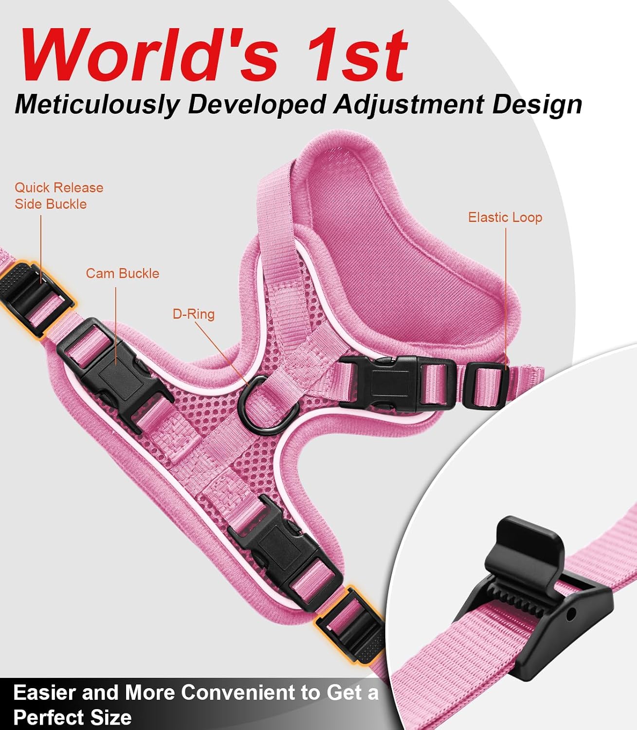 Close up of reinforced buckles on cat walking vest