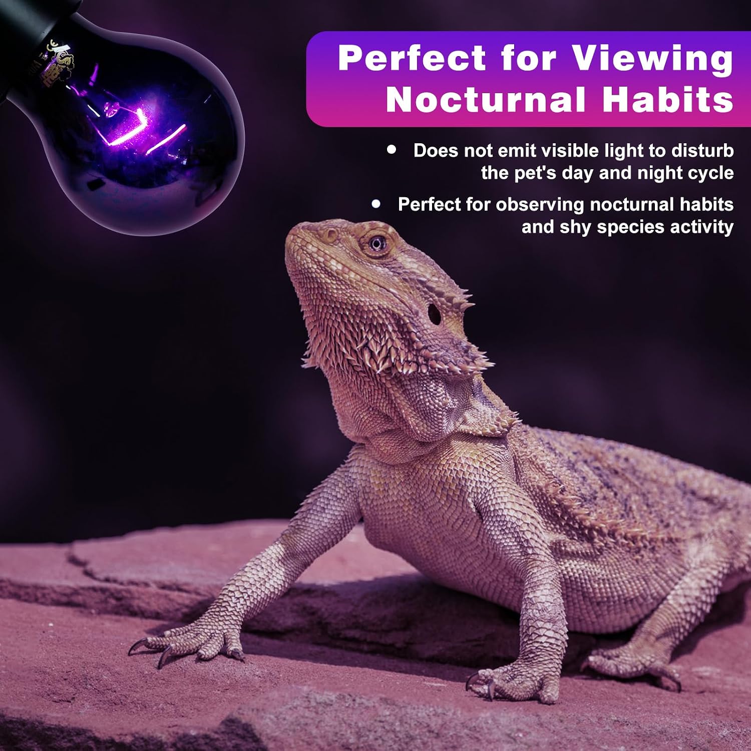 Lucky Herp nocturnal basking spot light bulb for bearded dragon habitat
