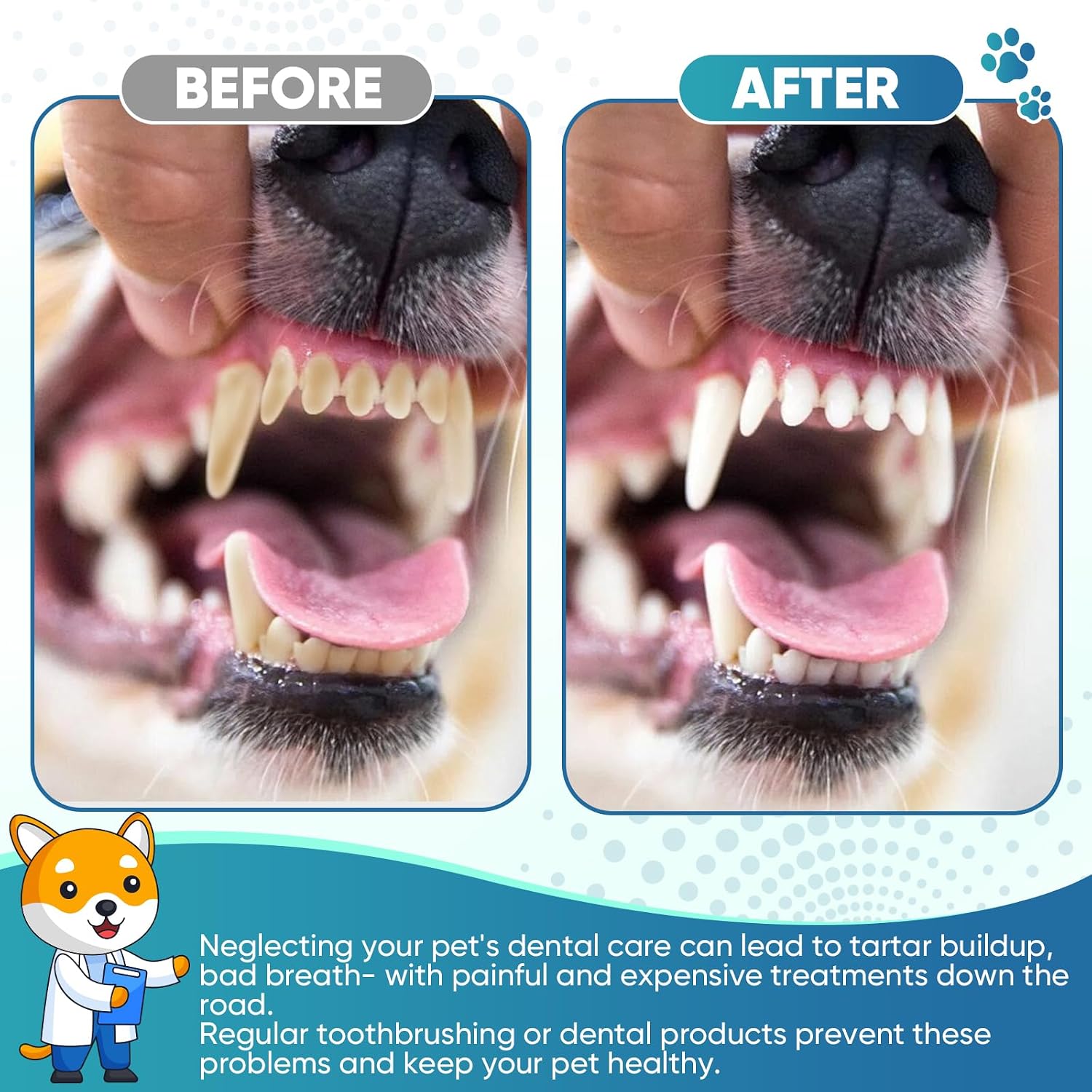 Full collection of 30 piece dog dental cleaning tools