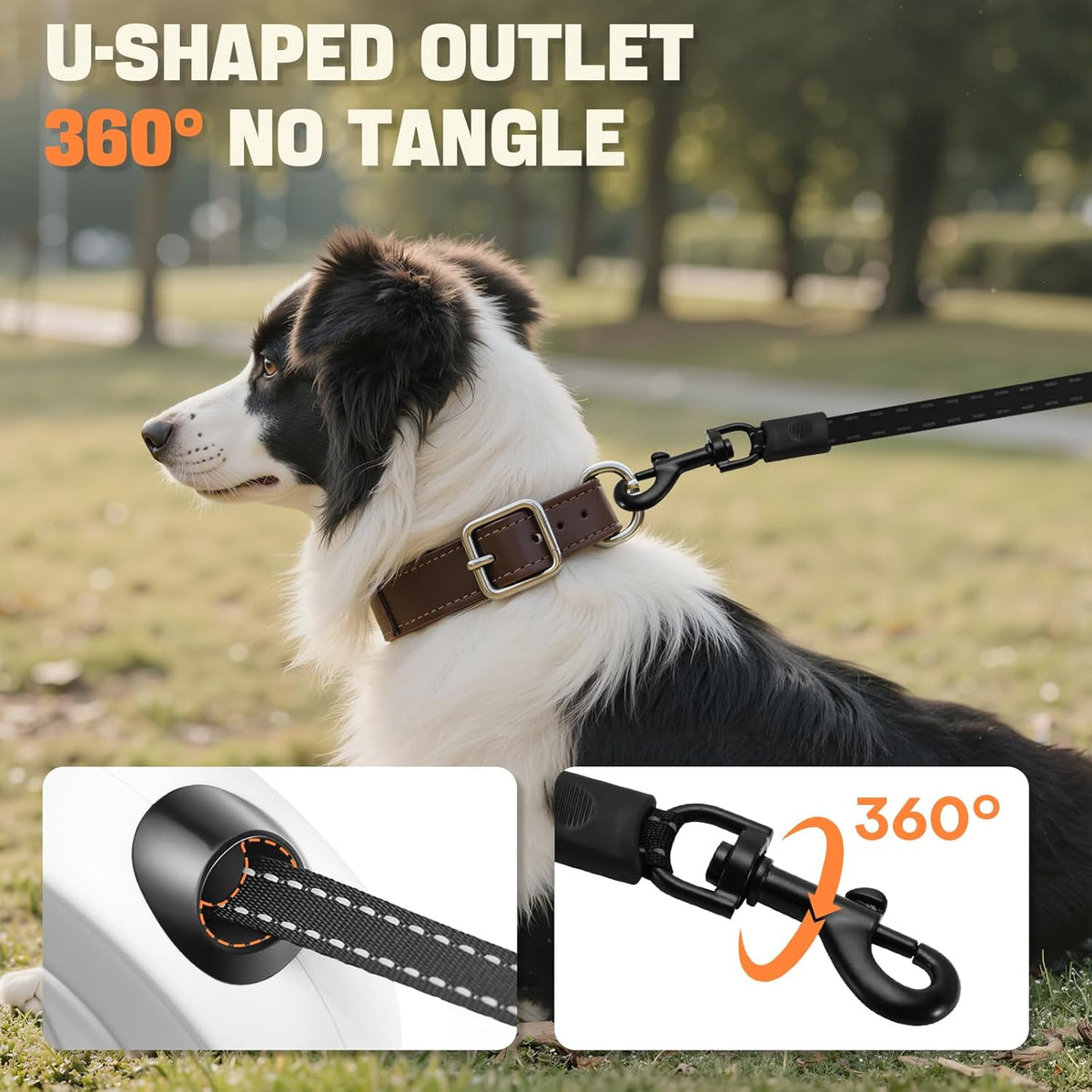 Petsweet retractable dog leash showing the one-button brake and lock mechanism