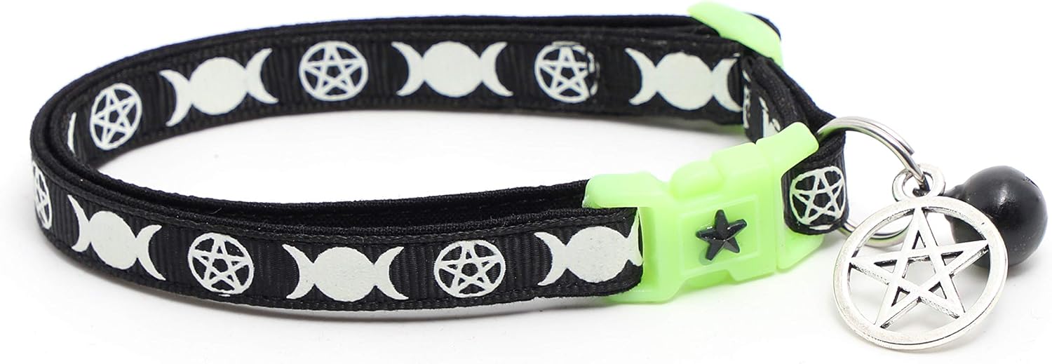 Detailed shot of bell and pentacle charm on Pugs to Persians collar