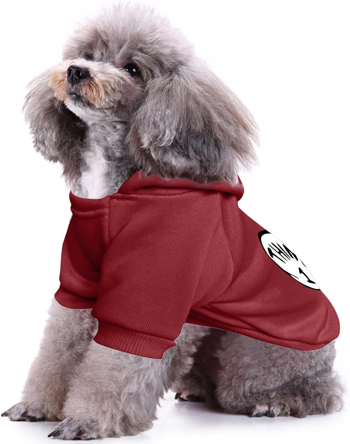 Warm winter dog jacket with adjustable hood in elegant wine red