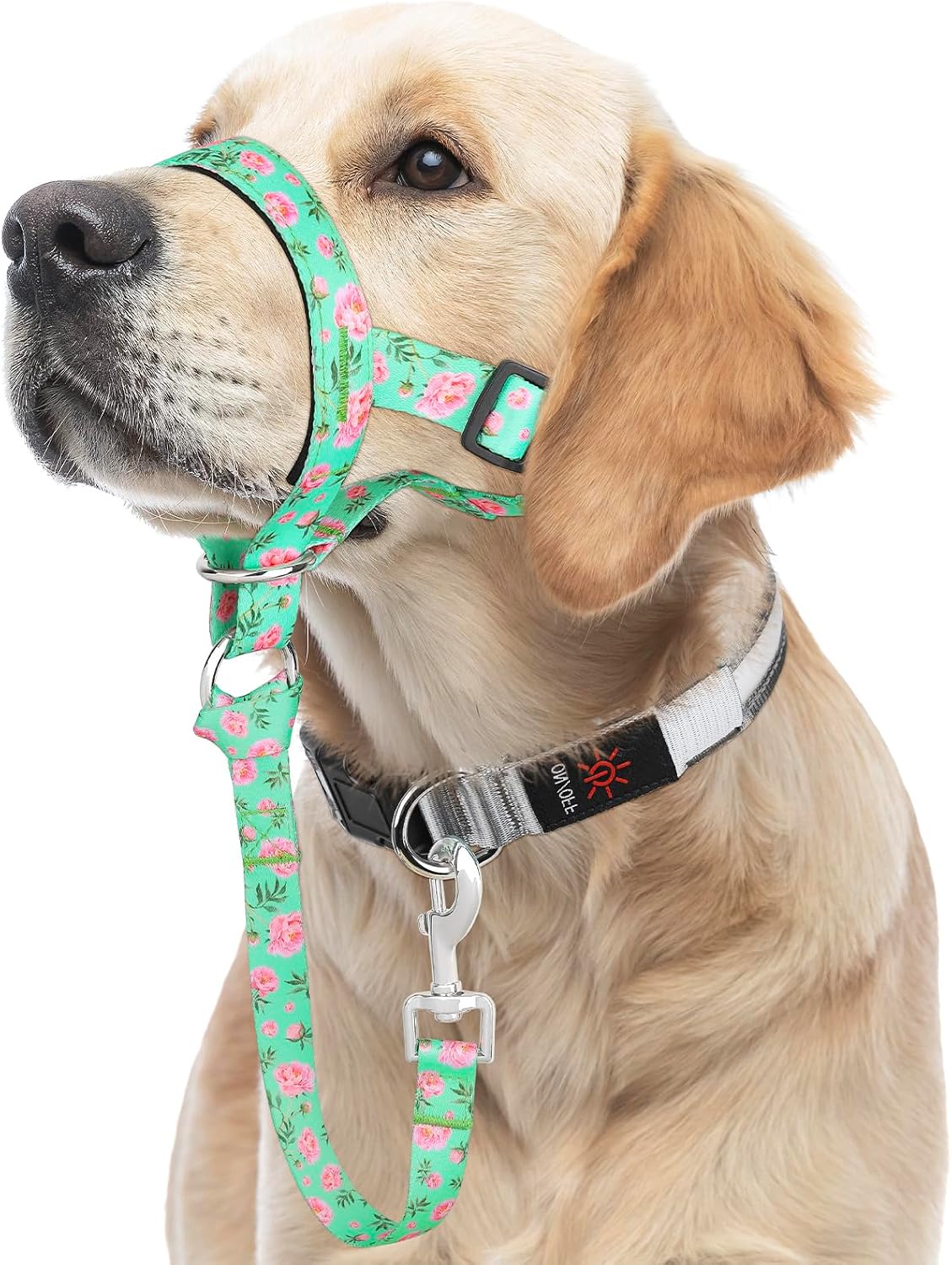 HIGO Dog Head Collar, Adjustable Head Collar for Dogs, No Pulling Head Halter, Training Nose Leash, 3 Pattern Muzzle Leash for Small Medium Large Dogs Easy Walking (Green, S) - Image 9