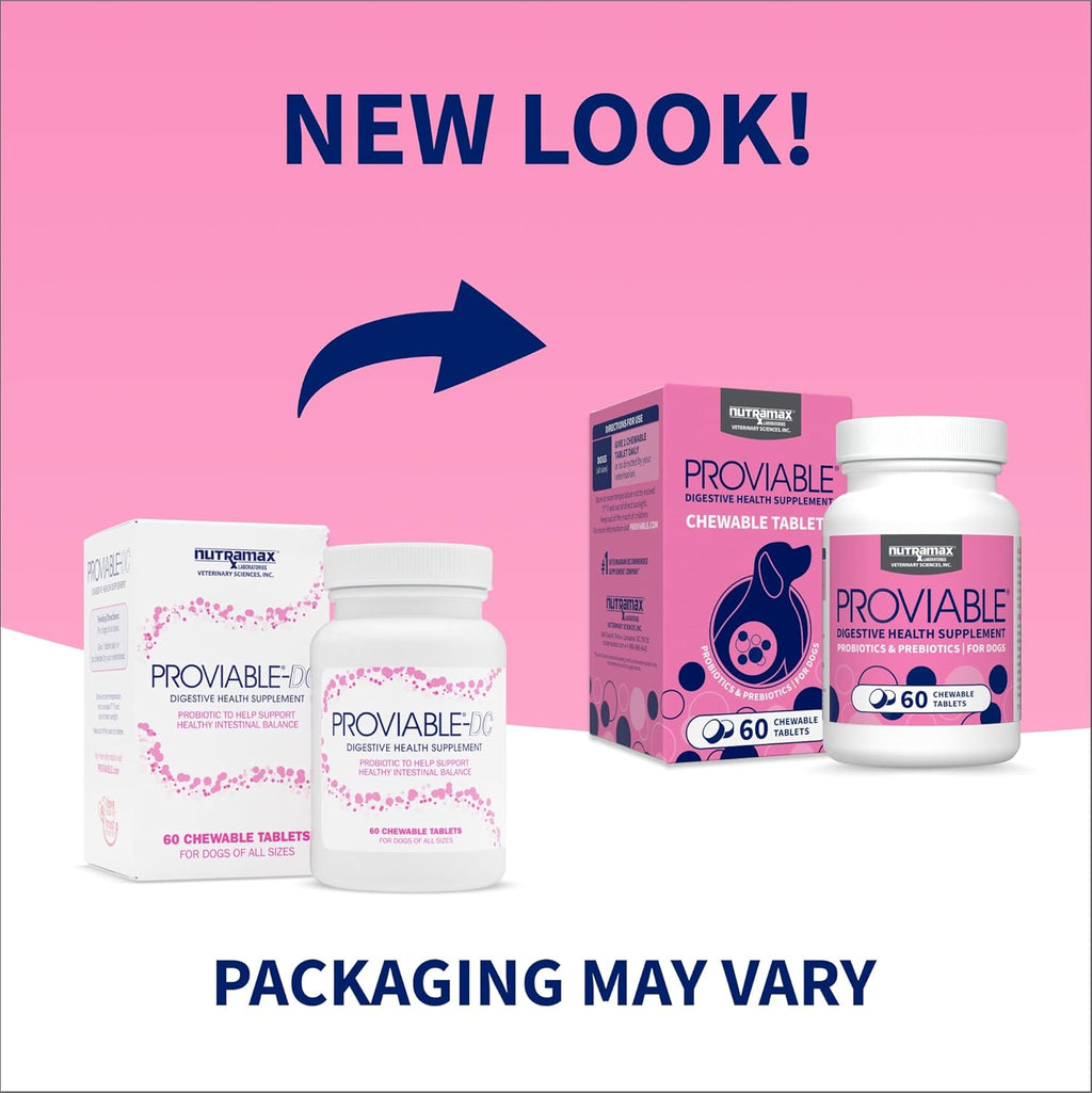 Nutramax digestive health supplement for dogs showing ingredients label.
