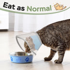 Side view of a cat wearing the lightweight Joypig Elizabeth alternative cone.