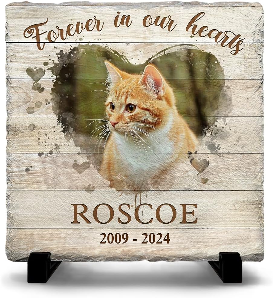 Sol Vibes bereavement sympathy present for cat lovers displayed in a premium comforting home setup