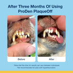 Close up of ProDen PlaqueOff dental bite size and texture