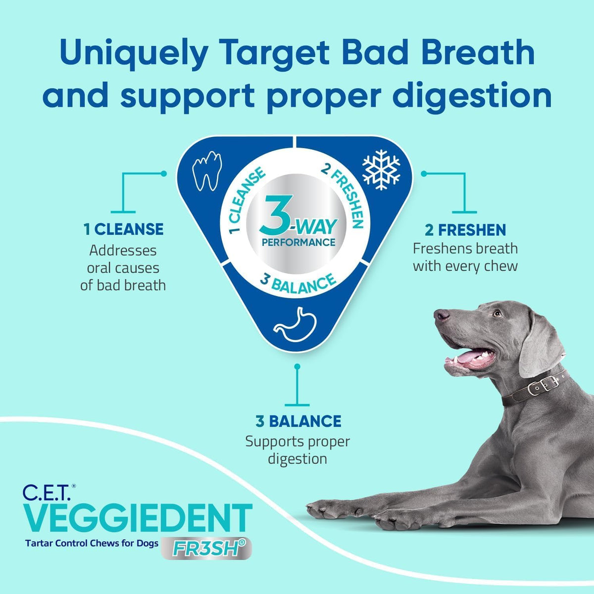VOHC approved dog tartar control treats by Virbac for digestive health support