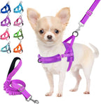 Lukovee No Pull Dog Harness and Leash Set, Soft Padded Small Dog Harness, Neck & Chest Adjustable Reflective Vest Puppy Harness with 4ft Lightweight Anti-Twist Dog Leash for Small Dogs (XS, Blue) - Image 11