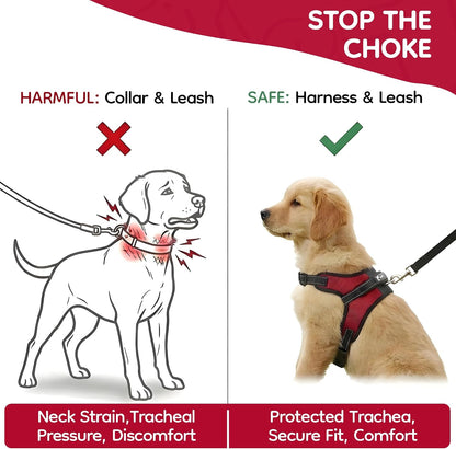 Comfortable mesh padding detail of Copatchy dog harness