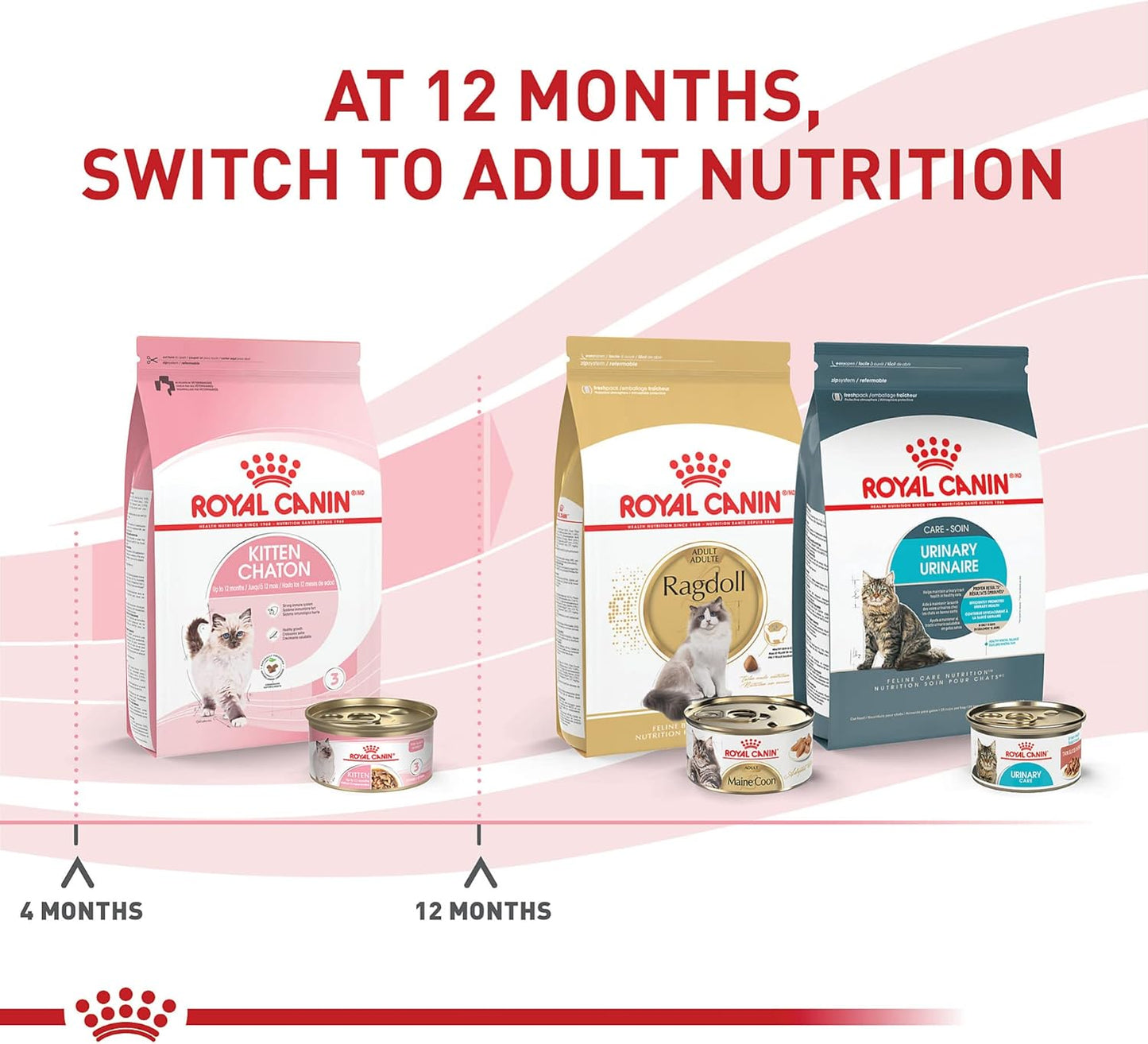Authentic USA Imported Royal Canin Cat Food