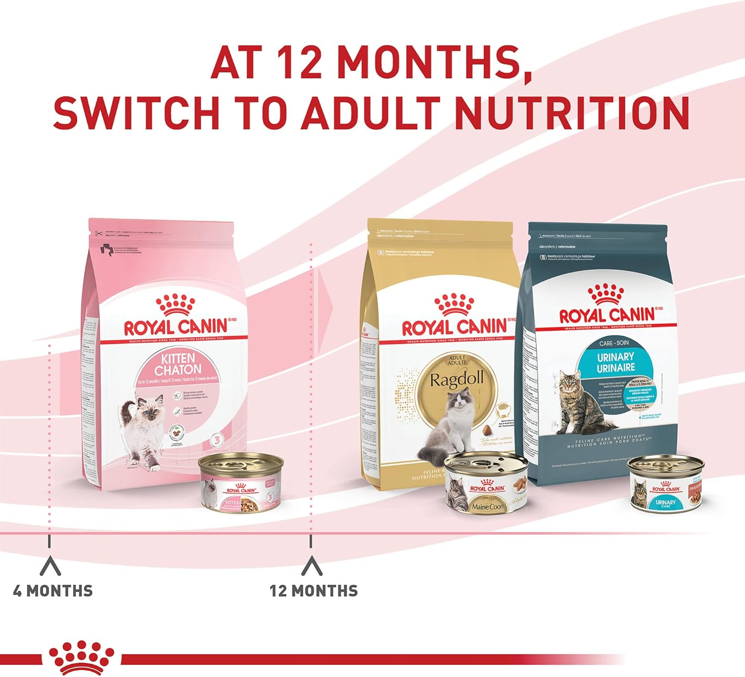 Authentic USA Imported Royal Canin Cat Food