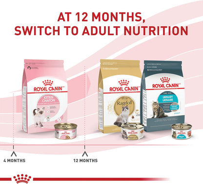 Authentic USA Imported Royal Canin Cat Food