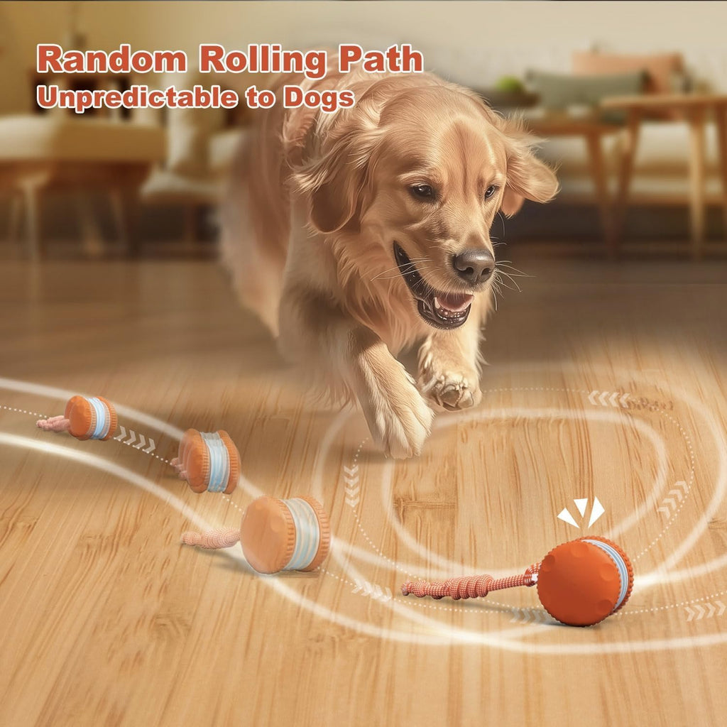 QGI automatic moving dog toy with rope attachment