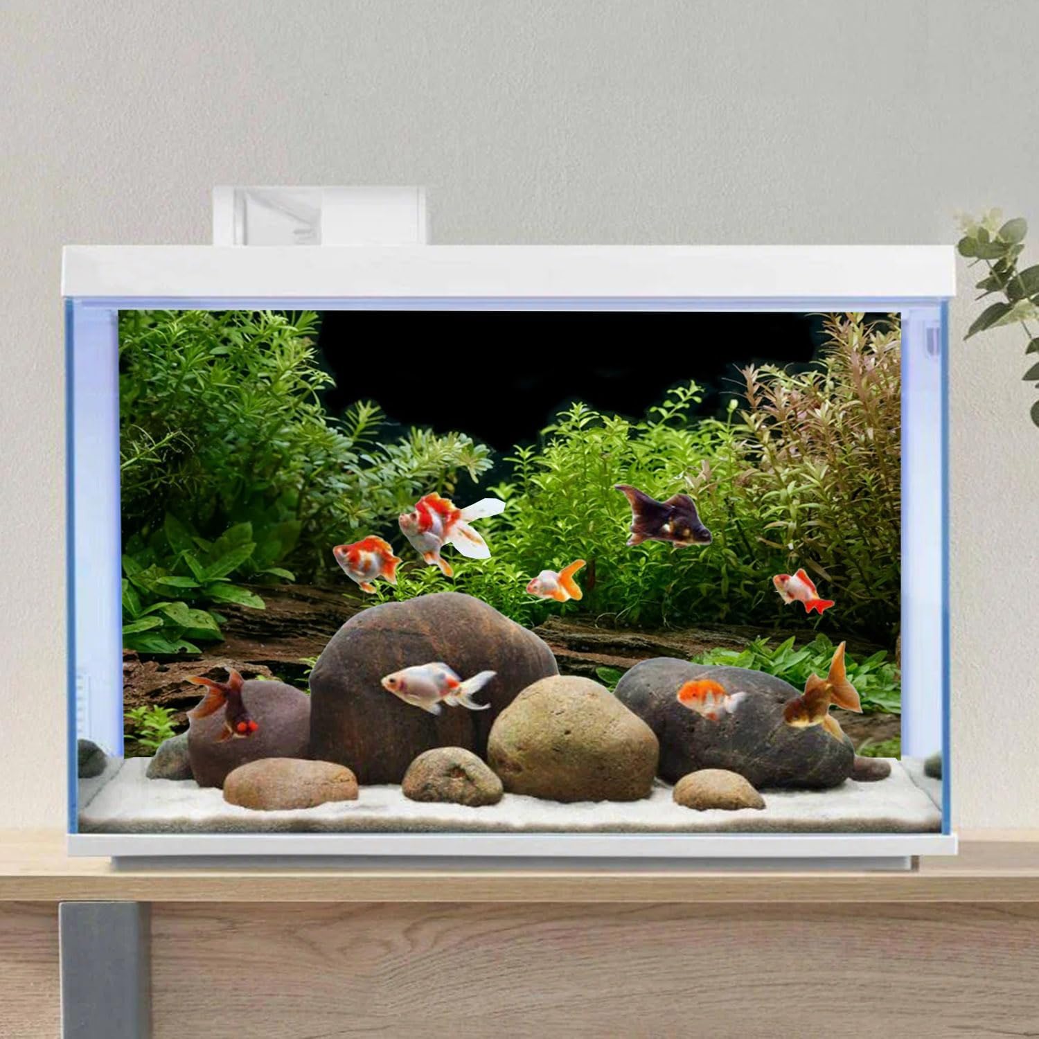 Aquarium external backdrop installation kit including double-sided EVA mounting tape pieces.
