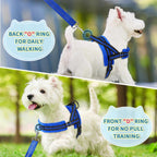 Small dog wearing Lukovee blue harness set