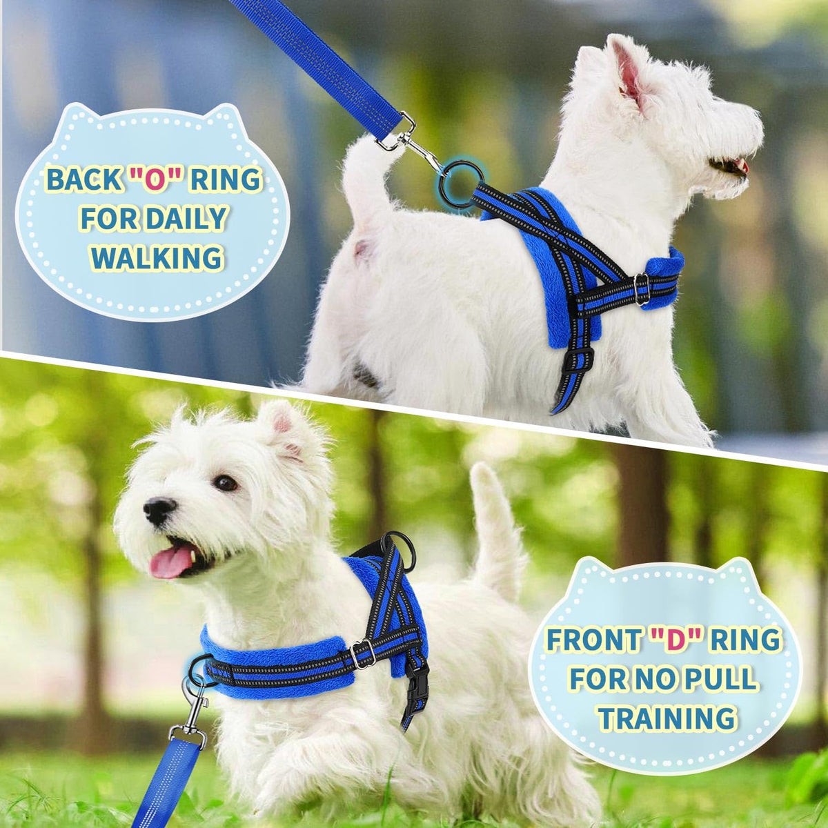 Small dog wearing Lukovee blue harness set