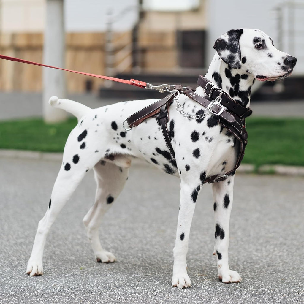YUEPET dog collar companion connector chain for martingale and prong collars