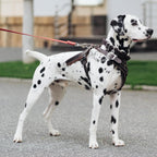 YUEPET dog collar companion connector chain for martingale and prong collars
