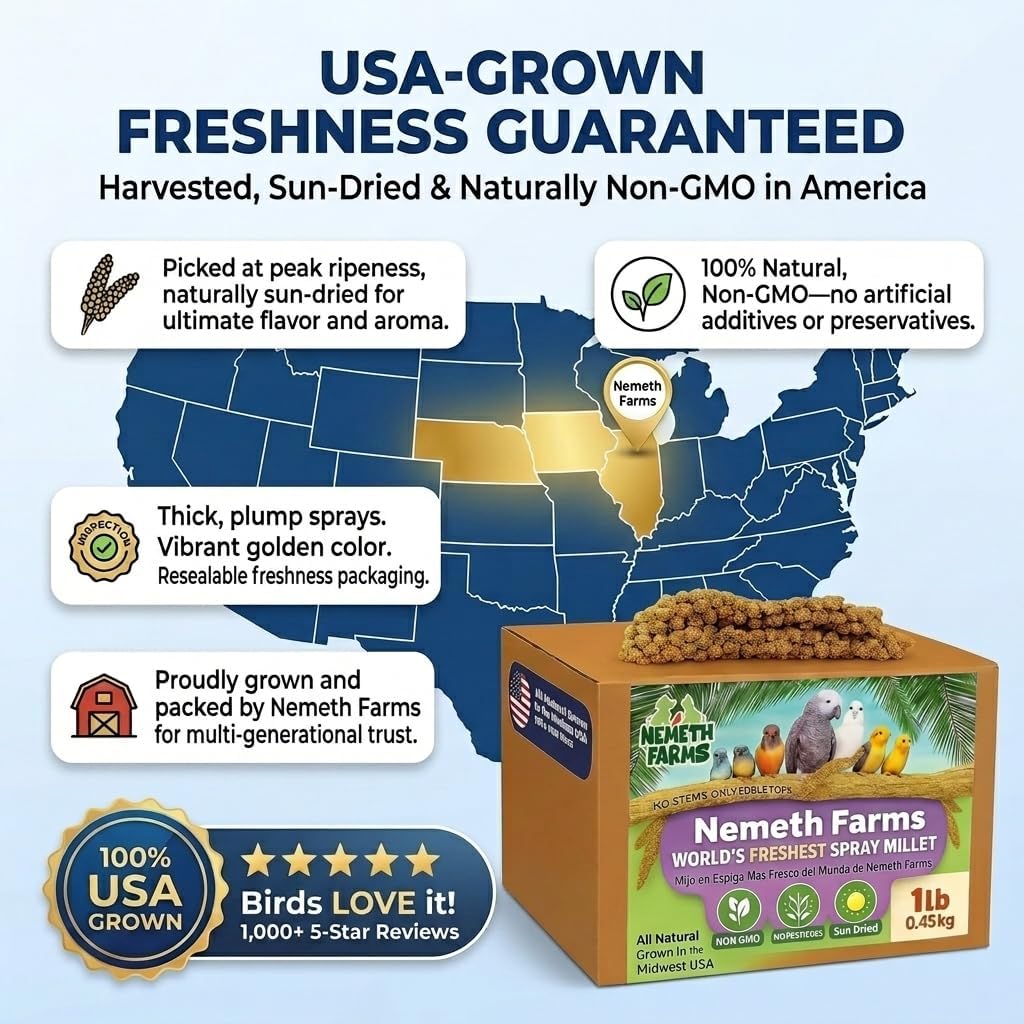 One pound box of Nemeth Farms bird millet