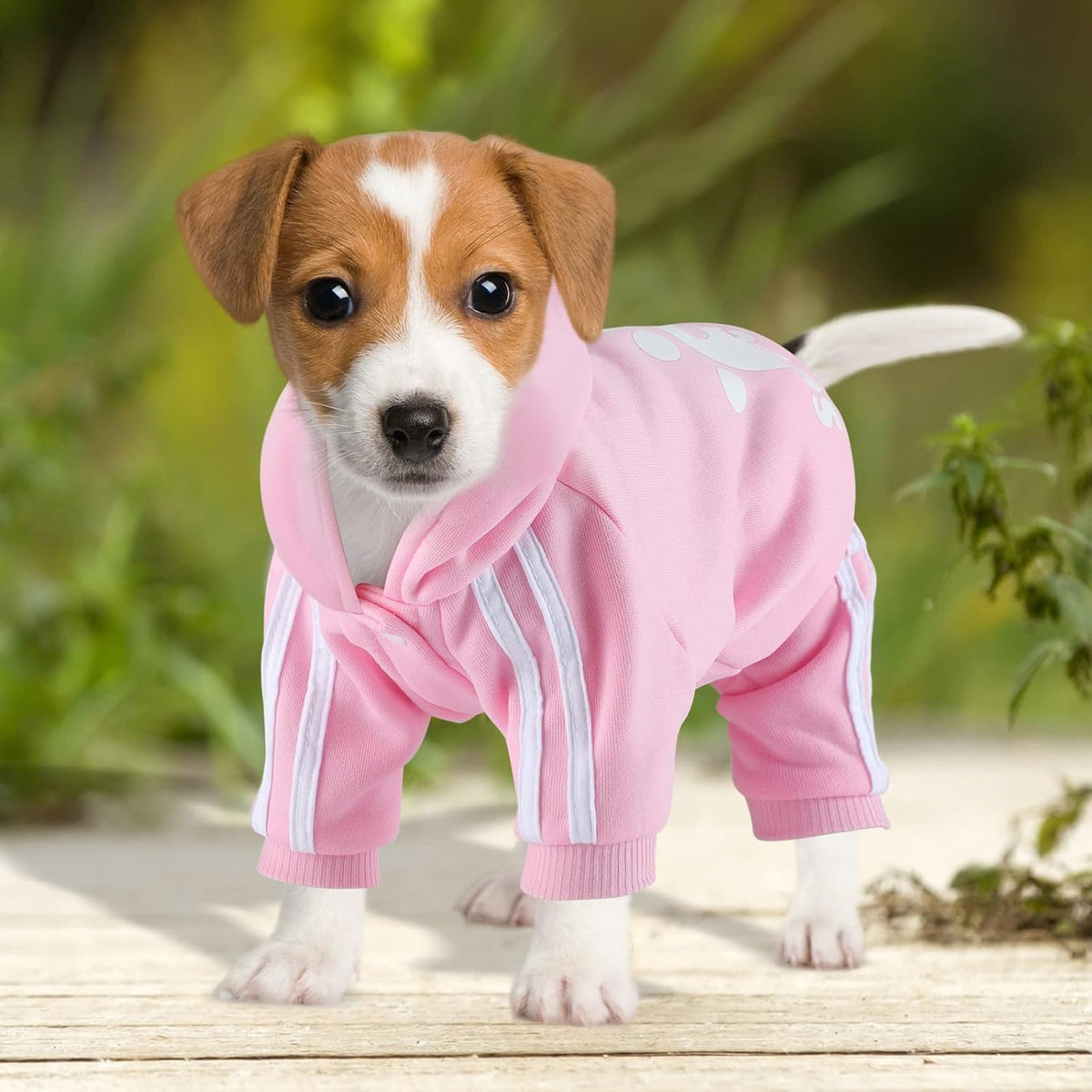 Small size pink pet pullover apparel with white stripe details on sleeves