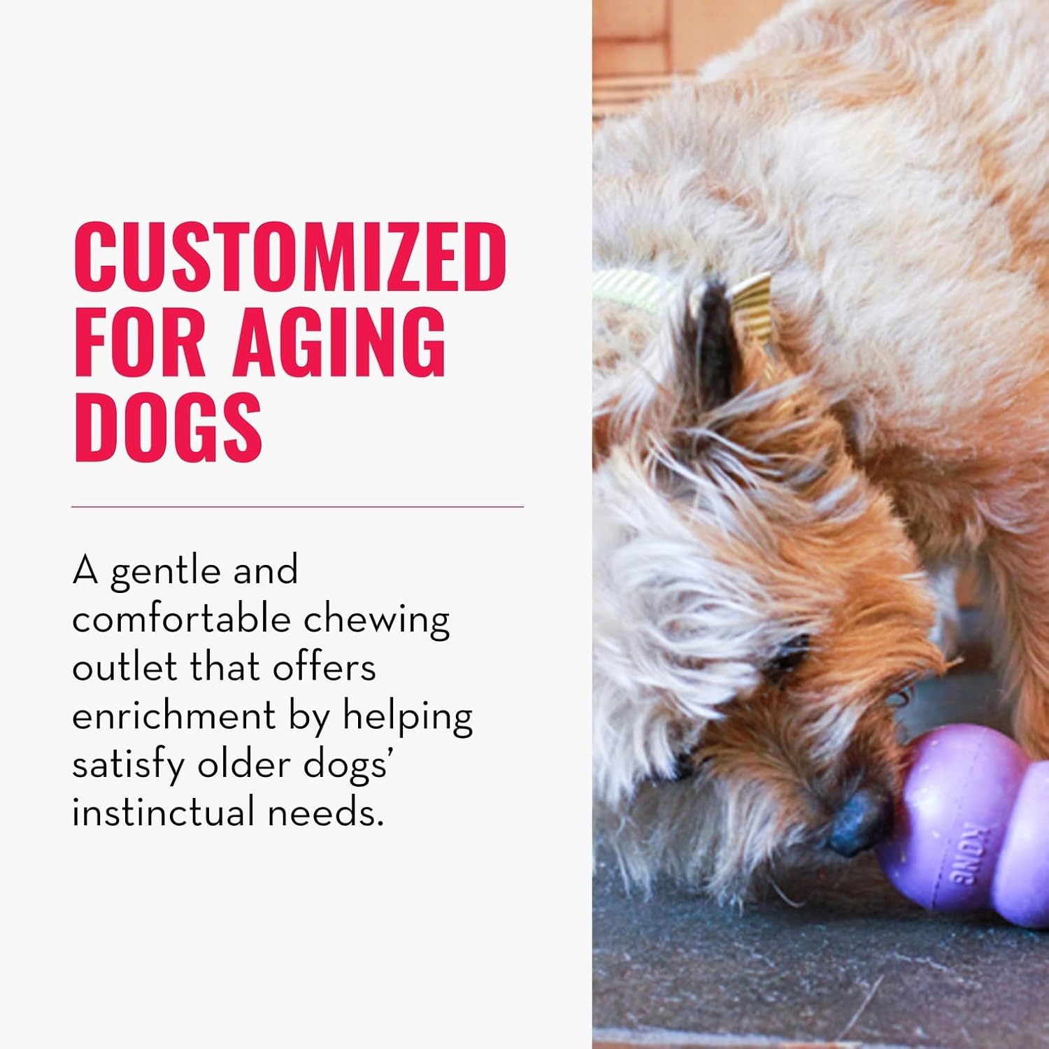 Stuffable senior dog puzzle toy filled with healthy treats.