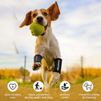 Side view of Cynoscape compression wrap on dog leg